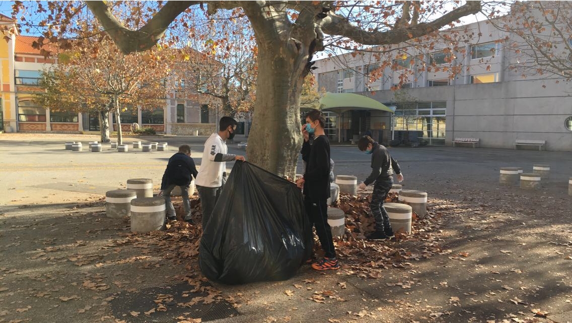 C'est sur la base du volontariat que les élèves se sont armés de paire de gants et de sacs poubelle pour récolter les feuilles mortes de l'automne à la plus grande joie de l'OP qui entretient le collège.
Un grand merci aux élèves qui ont fait preuve de civisme et de solidarité !