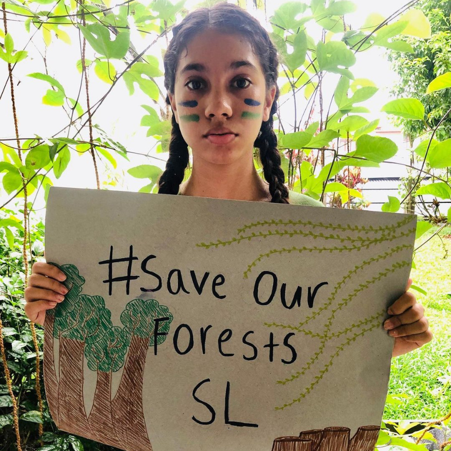 GoodMarket_'s tweet photo. .@ReforestSL @ForestSri @PearlProtectors @earthguardianz @XRebellionLK and other Good Market community members are mobilizing public support to #savesrilankasforests. 

Check out the online petition to learn more and show your support https://t.co/V7mPzOlb28 🙏🏽🌳 https://t.co/7ZDPyezOcp
