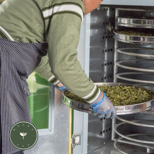 MogokTea's tweet photo. One of Mogok Tea's goals is to create long lasting and rewarding careers in tea for local people, by providing hands on training at Mogok tea factory.
#goals #career #tea #teacompany #teafactory #training #factory #mogok https://t.co/NbdpMYDsTL