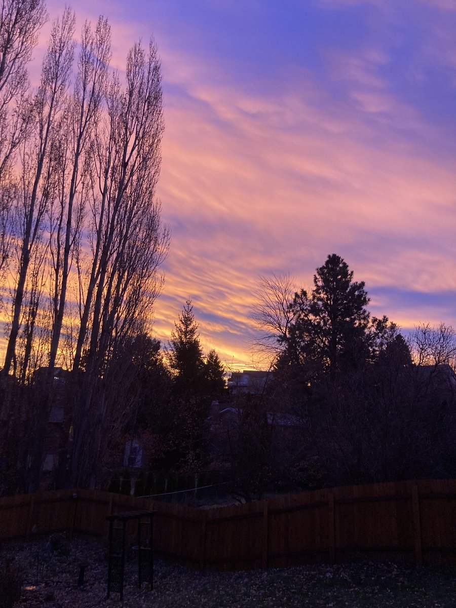 JaimeNolan13's tweet photo. Pullman sunrise. #ILoveThePalouse #ThisIsWhereILive #ILovePullman https://t.co/BULluOUG8H