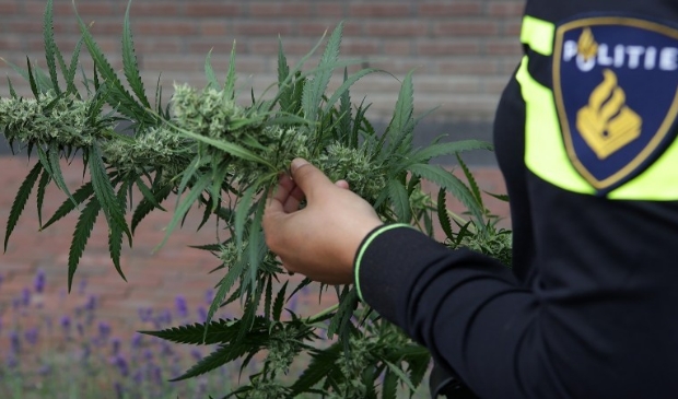Burgemeester sluit bedrijfspanden in Zadelmakerstraat na vondst hennep en drugs - ..