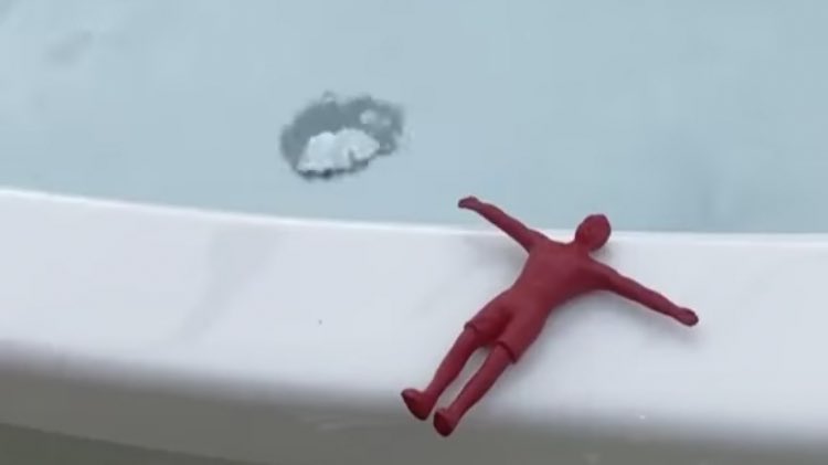 sigevold's tweet image. 