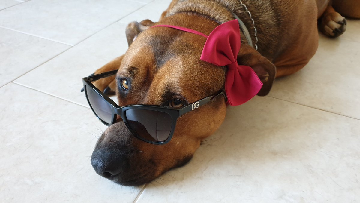 valbel73's tweet photo. QUESTA MIA FOTO PARTECIPA AD UN CONCORSO! VOTARLA RICHIEDE SOLO UN CLICK PER VOI! A ME REGALATE UN SORRISO SE PENSO ALL'ESTEMPORANIETA' DELLA FOTO STESSA! GRAZIE AMICI :-)🥰
https://t.co/iccXAXaNEf https://t.co/BgSBpklYky