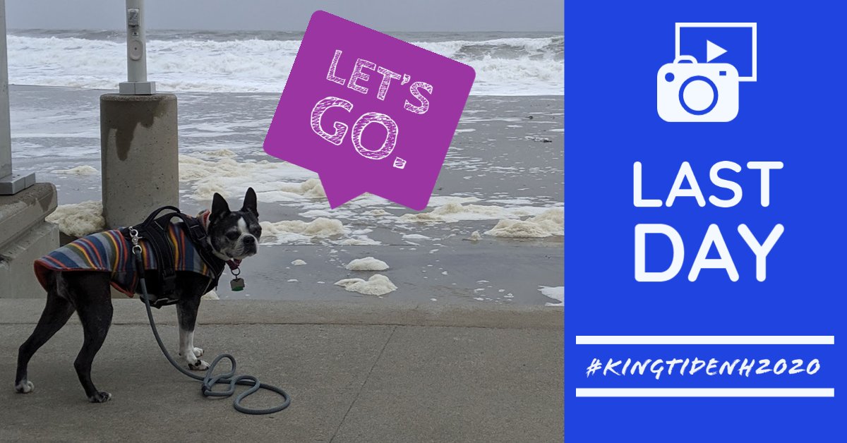 nhcaw's tweet photo. LAST DAY to enter the #KingTideNH2020 Contest. High tide in Hampton at 12:21pm and Dover at 1:40pm. All you need to know at https://t.co/XU3162m1jU. https://t.co/TlPoU4Vi1y