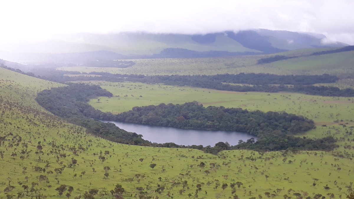 UeCongoBrazza's tweet photo. Sur le terrain : dans la Réserve Naturelle de la Lésio-Louna #RNLL et sa périphérie, les activités génératrices de revenus au profit des riverains se dévoilent au fil de la visite, tout en appréciant la richesse et l’incroyable potentiel en termes d'écotourisme de ce site. https://t.co/WdHTm9kGsm