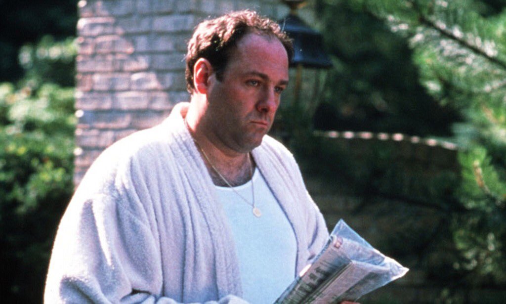 Тони сопрано. Тони сопрано и утки. Tony soprano ducks. The sopranos постер 1999 в чб из журнала. Тони сопрано и утки.