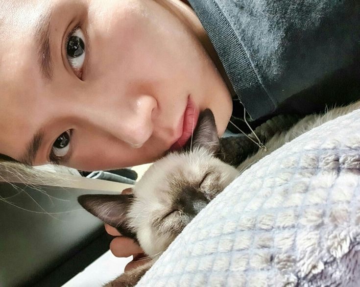 leavethethird_'s tweet photo. เหมียว....แง่ง...งืม....คร่อก....................................................................................................................................................................................................................................................อืมม... https://t.co/WNN4AvVnko