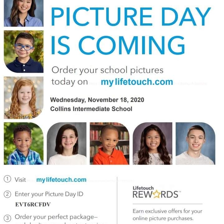 Collins Intermediate tweet media