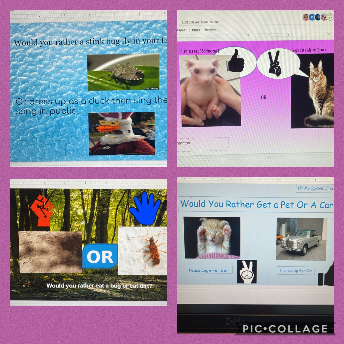 Miriam McKone tweet media