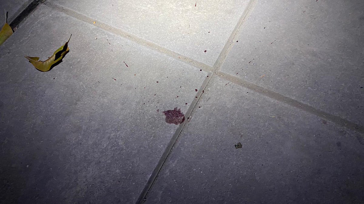 ThaiEnquirer's tweet photo. Blood, bulletholes(?) and a shank. 

#ม็อบ17พฤศจิกา #รับทุกร่างคือทางออก https://t.co/Pn2rES0mhU