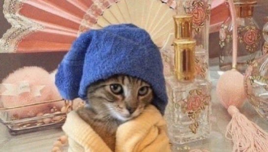 enter the coochie tweet media