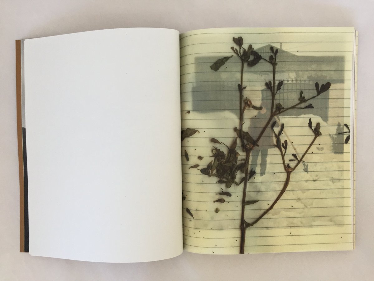Creative Champions (@creative_champs) on Twitter photo WINNER! The Solutions Awards Best of Best 2020 – Paper category sponsored by Arctic Paper <a href="/arcticpaperuk/">Arctic Paper UK</a>
The winner is FE Burman <a href="/FEBurmanLtd/">FE Burman Ltd</a> Congratulations! #TSA20 WINNER! The Solutions Awards Best of Best 2020 – Paper category sponsored by Arctic Paper <a href="/arcticpaperuk/">Arctic Paper UK</a>
The winner is FE Burman <a href="/FEBurmanLtd/">FE Burman Ltd</a> Congratulations! #TSA20