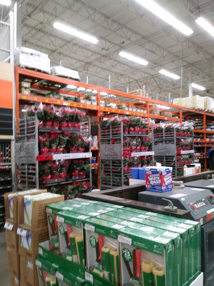 Christi23491423's tweet photo. Great execution on the $1.98 Poinsettias @ HD #6305 Valrico. Thanks Sm Dave and GV merchandiser Julie https://t.co/tDTDE3SRJY