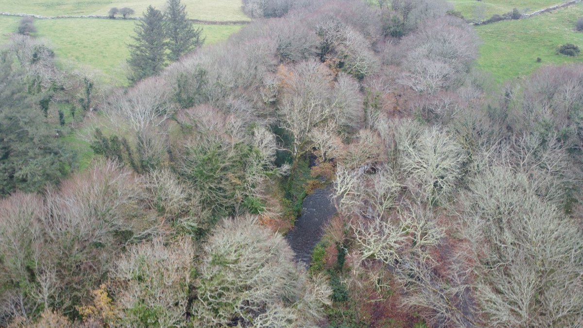 To me, properly designed riparian woodlands are a 'no-brainer'Wildlife corridors/habitatNutrient buffers/water qualityBank stabilisation/erosion preventionCarbon sequestrationThe good news is that the Ballymacraven is teaming with juvenile trout & salmon this year.