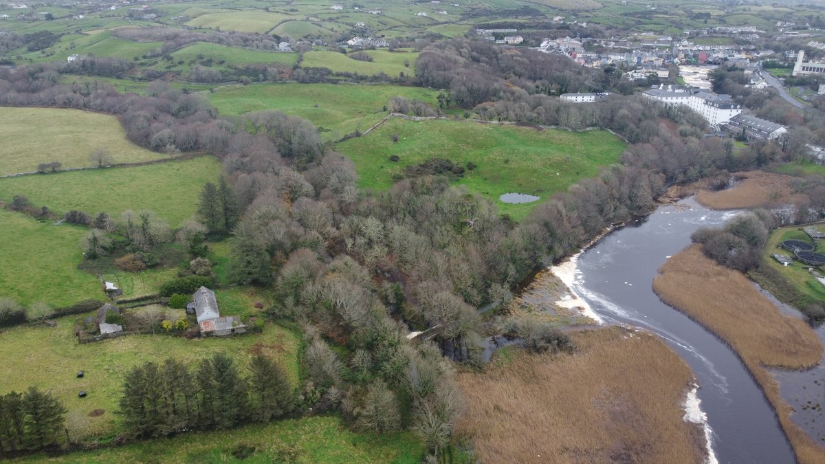 To me, properly designed riparian woodlands are a 'no-brainer'Wildlife corridors/habitatNutrient buffers/water qualityBank stabilisation/erosion preventionCarbon sequestrationThe good news is that the Ballymacraven is teaming with juvenile trout & salmon this year.
