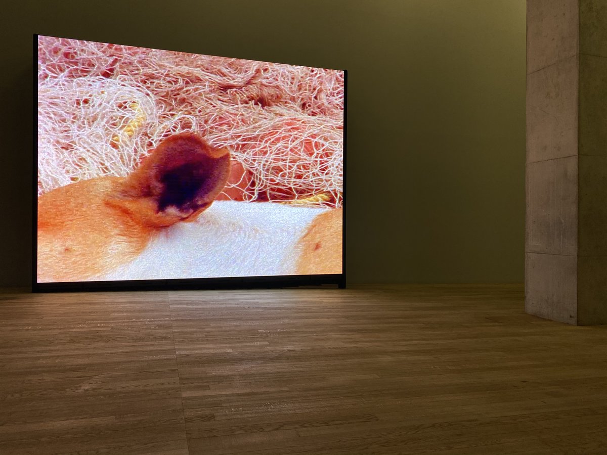 LUXTechnical's tweet photo. 👀 Looking back to when we weren’t in lockdown…

This project included a challenging over night install, but we were really pleased with the results! This is our brand new ROE Visual LED Video Wall. It was sitting in the @Tate for the Steve McQueen exhibition, ‘Caribs Leap'. https://t.co/wpzOjHg0Ue