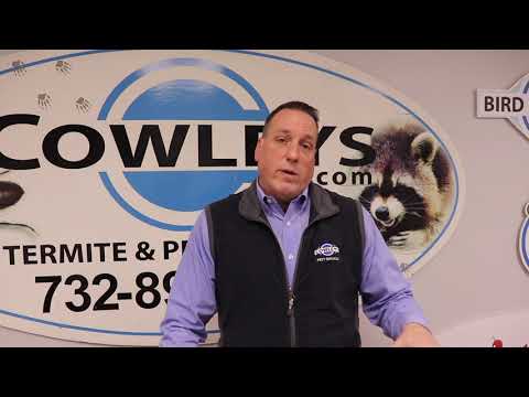 CowleysServices's tweet photo. To provide you with a little more insight about Attic Systems, our Residential Sales Pro, Tom, is here to explain.  https://t.co/3dR1LlcXtj
#insulation #atticinsulation  #HVAC #homeimprovement #winter  #AllThingsPesty #home #blownininsulation #attic #atticinsulation #homeowning https://t.co/x8XsRv8DZQ