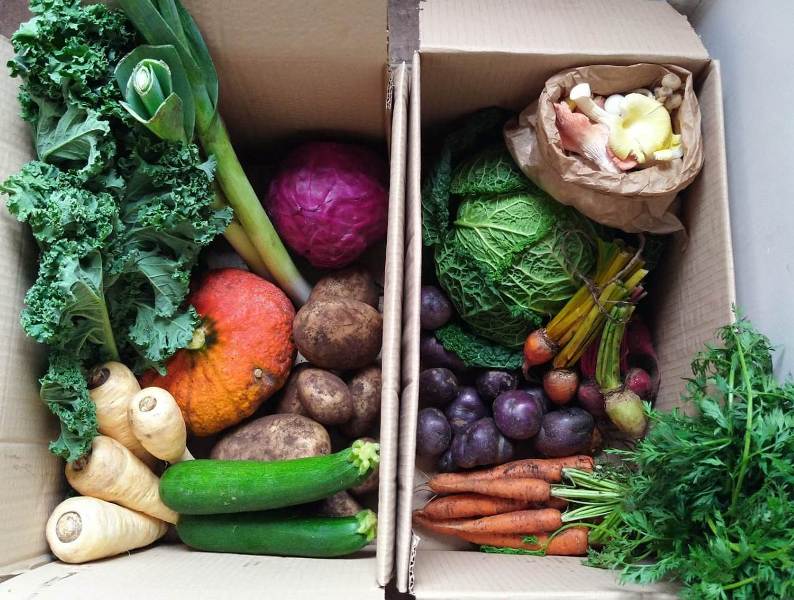 HebdenHashtags's tweet image. All the freshfarmdeliveries.com seasonal #VegBoxes are packed with wholesome veggies grown by #Local producers on farms less than 50 miles away.

They go perfectly with the #MeatBoxes.

#HebdenBridge

10% off your 1st order with 'TODTWEETS'.

Fruit, Vegetables, Eggs, Dairy, Meat.