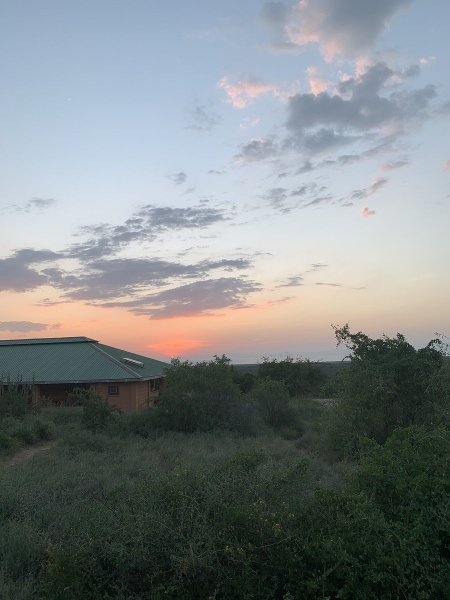 KulamoRend's tweet photo. Sunset at Ileret, Marsabit
@joannevelo https://t.co/bdZ1G6EtDO