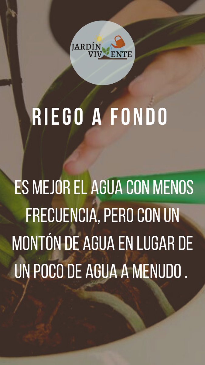 jardinviviente's tweet photo. Tip 8: https://t.co/1LHiIMJ4PX