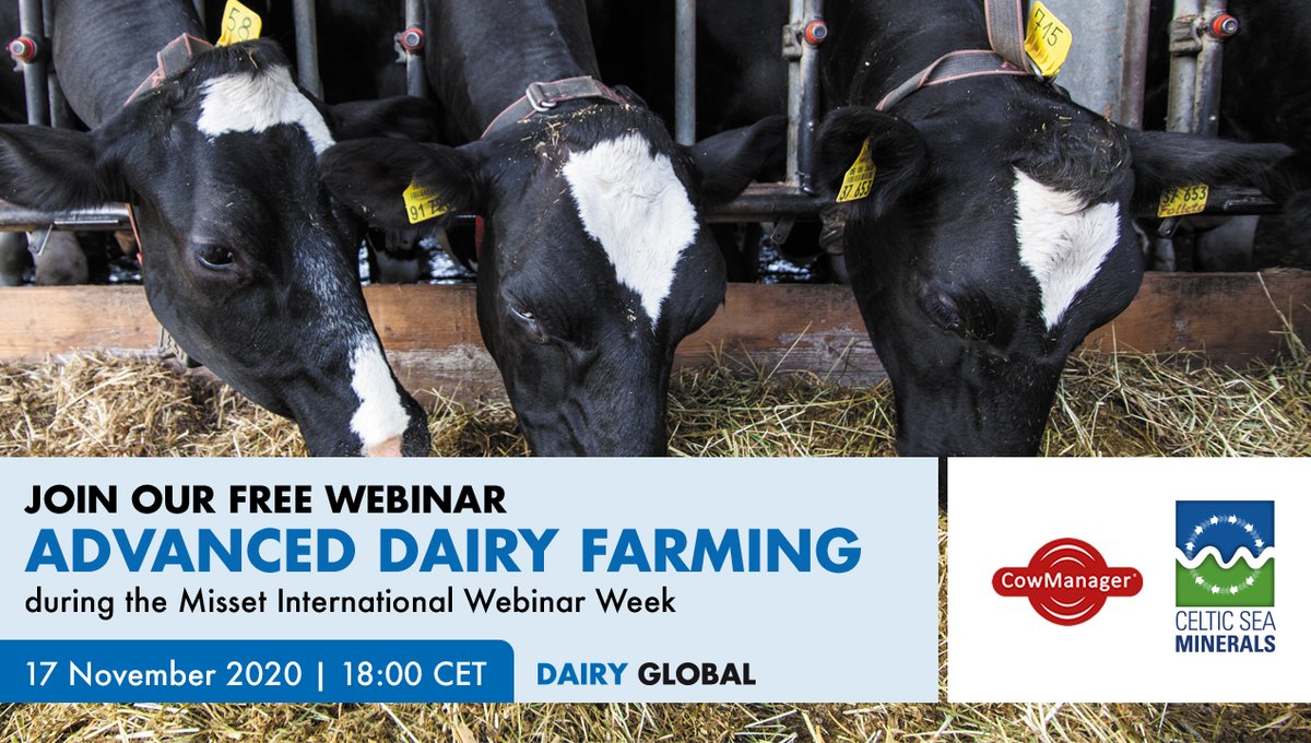 vincenttb's tweet photo. Webinar #4 in the #Misset International Webinar Week takes you to the wonderful world of Advanced #Dairy Farming 🐄. Colleague @vd_zan of @DairyGlobal will guide you through a free webinar with speakers from @SelectSiresInc, @CowManager & @celticseamins. Kick-off at 6pm CET. https://t.co/l1fXCQJIw1