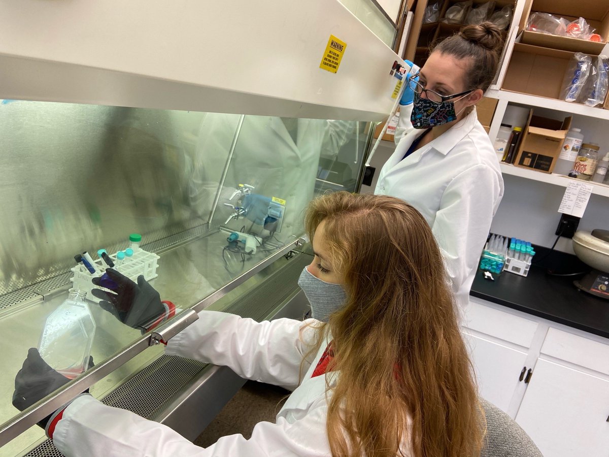 NFHCA's tweet photo. The future is in good hands with Caitlin Beauduy.

Caitlin secured a grant from @NASA to support her ongoing investigation into the effect of T cells on solid pancreas tumors. Her work may encourage greater success with cancer treatments.

Read more: https://t.co/7XAd1iqYH9 https://t.co/waP2XYSKGE