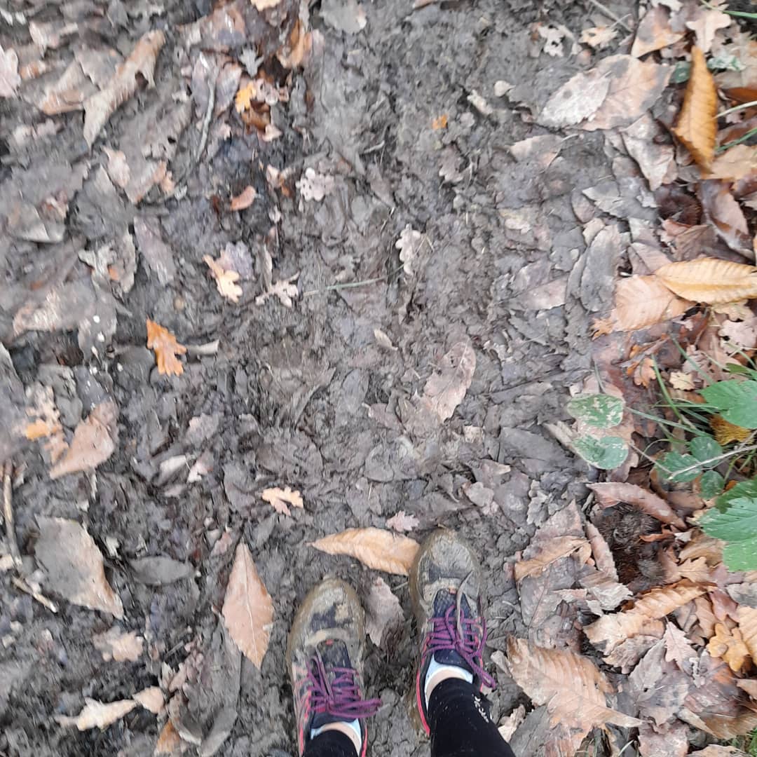 RunFerro's tweet photo. Luxury of a day off hitting the trails think its time to upgrade my trainers for the super muddier runs  #ukrunchat https://t.co/hmmlN55YXF