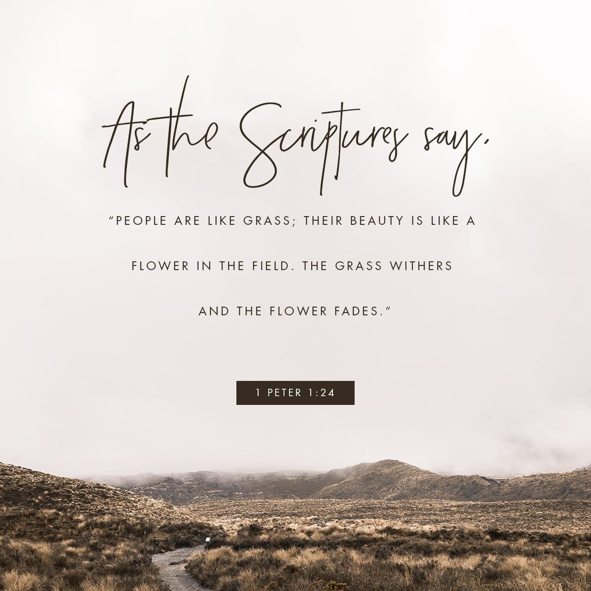 sam_tad's tweet photo. For, “All people are like grass, and all their glory is like the flowers of the field; the grass withers and the flowers fall,
1 Peter 1:24 NIV https://t.co/FQj9zrudiH