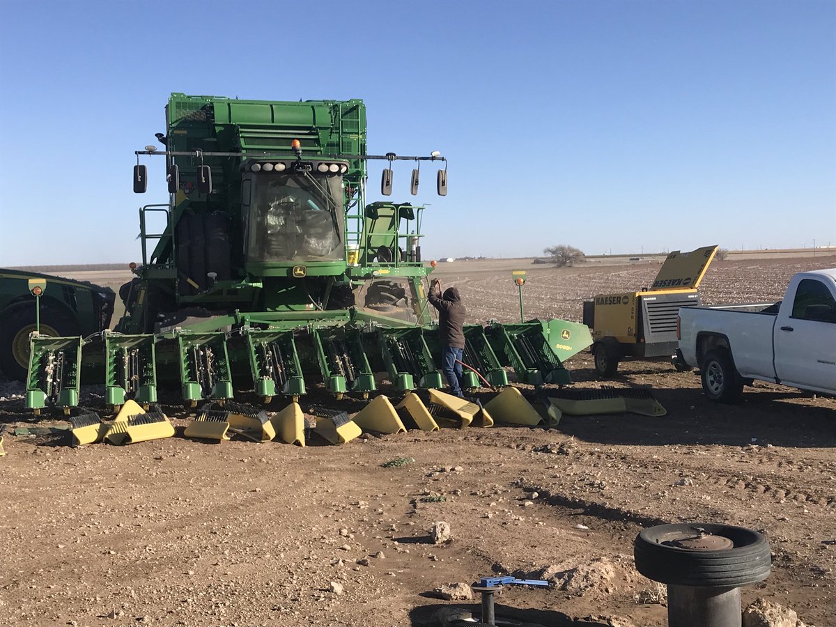 Done with harvest.  Time for cleanup.