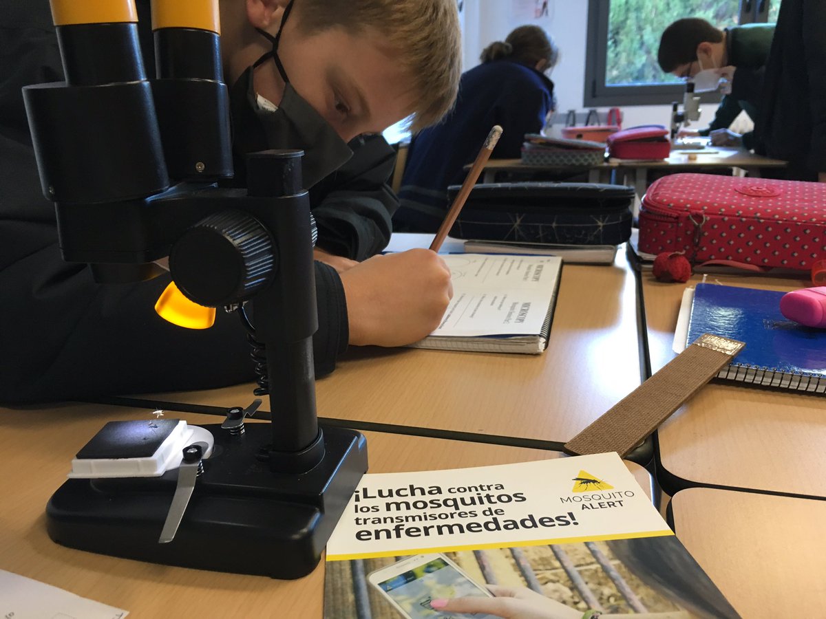 SGeorgesSchool's tweet photo. ⚠️🦟
Els alumnes de 1r d’ESO han viscut el projecte educatiu de ciència ciutadana @Mosquito_Alert
🔬Estem molt satisfets per haver estat un dels tres centres educatius de la província que hem pogut participar al projecte. Moltes gràcies, @Xatrac_org! 
#SetmanadelaCiència #SCAT20 https://t.co/jsoR4KTAjF