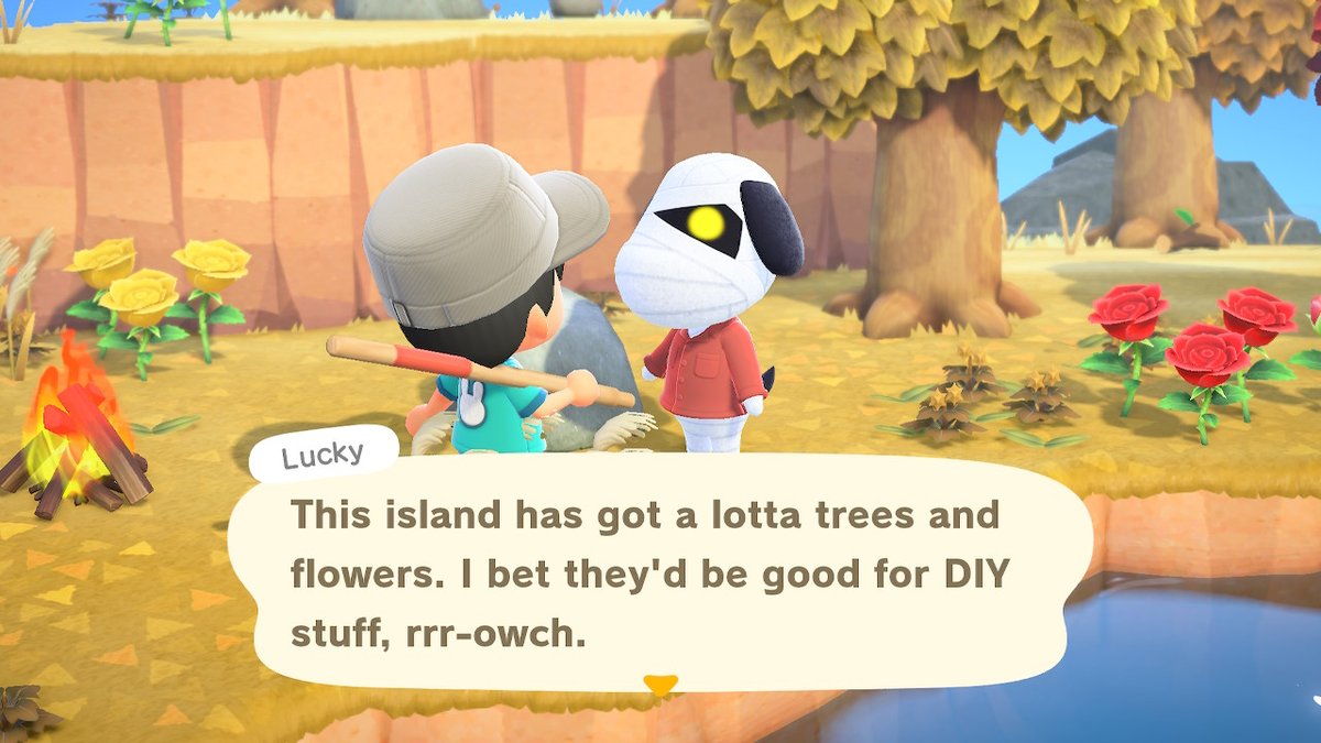 supersprite__'s tweet photo. #AnimalCrossing #ACNH #NintendoSwitch YOOOOO MY FAVOURITE VILLAGER AND HES RARE https://t.co/VVYcOPdqPU