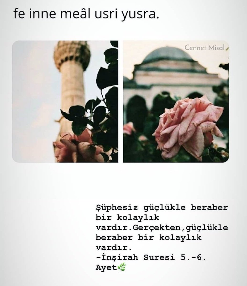 #feinnemeâlusriyusra🌼