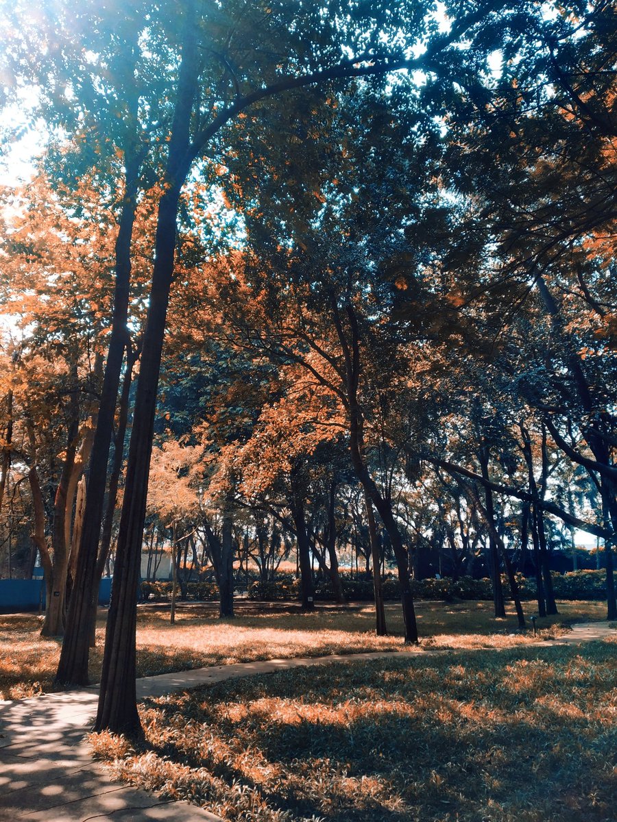 OnlineRajiniFC's tweet image. #mobilephotography

#RedmiNote5Pro #SimpleClick