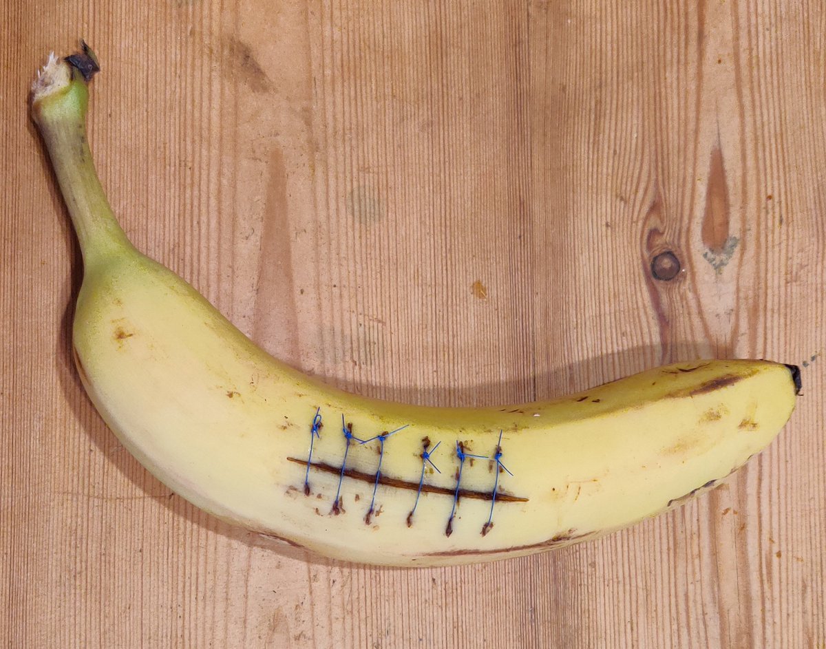 VaaniMahapatra's tweet photo. Is it weird to enjoy maiming suturing a fruit? https://t.co/kFbqrkMpJj
