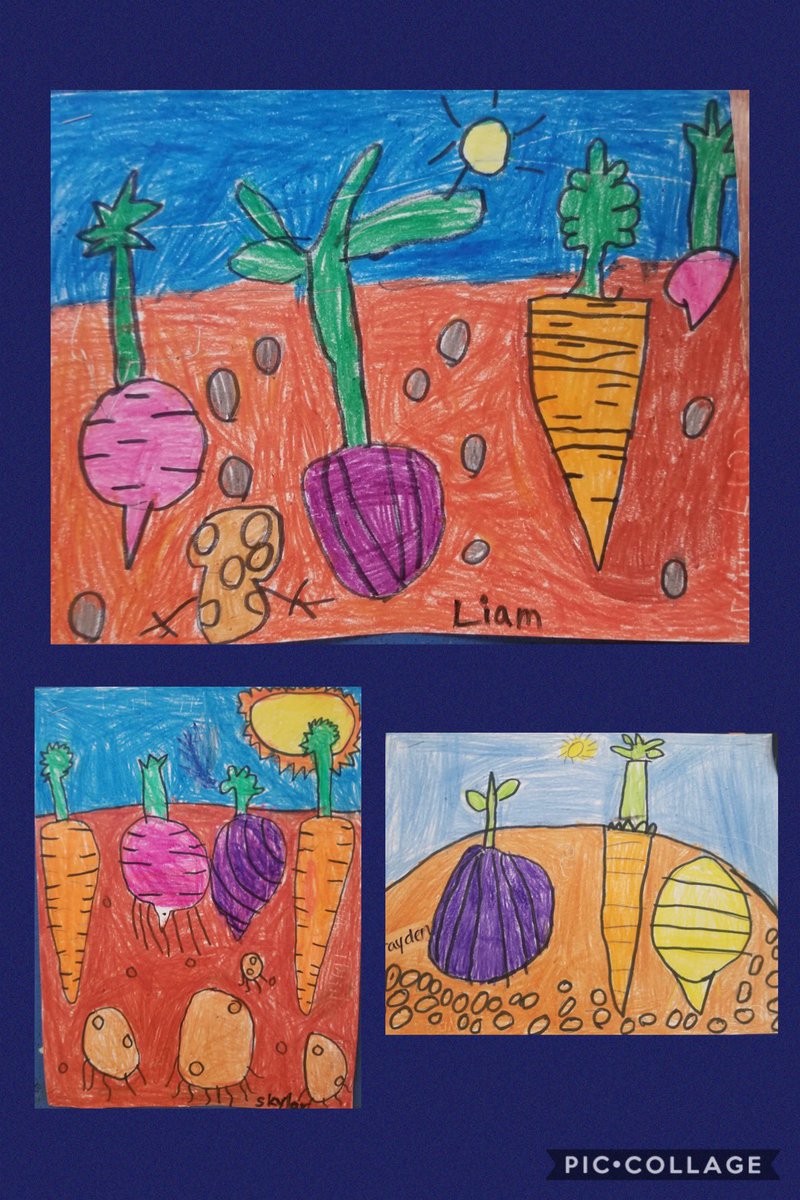 1st Grade Fall Veggies in the Dirt Crayon Drawings <a href="/hcebulldogs/">Hill Country ES- Bandera ISD</a>