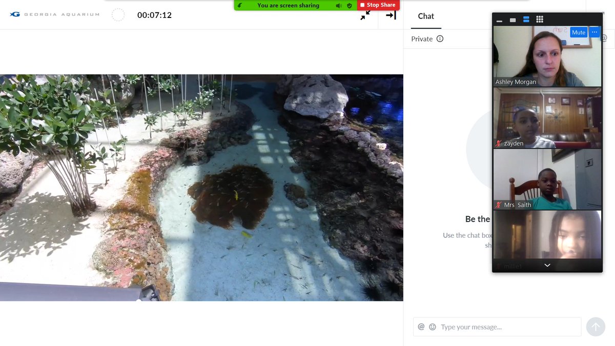 Rewarding students in a virtual world has it's challenges but today our class took a virtual behind the scenes trip to the Georgia Aquarium! My students have earned it with all of their hard work and participation. They loved it! #goodtogreat