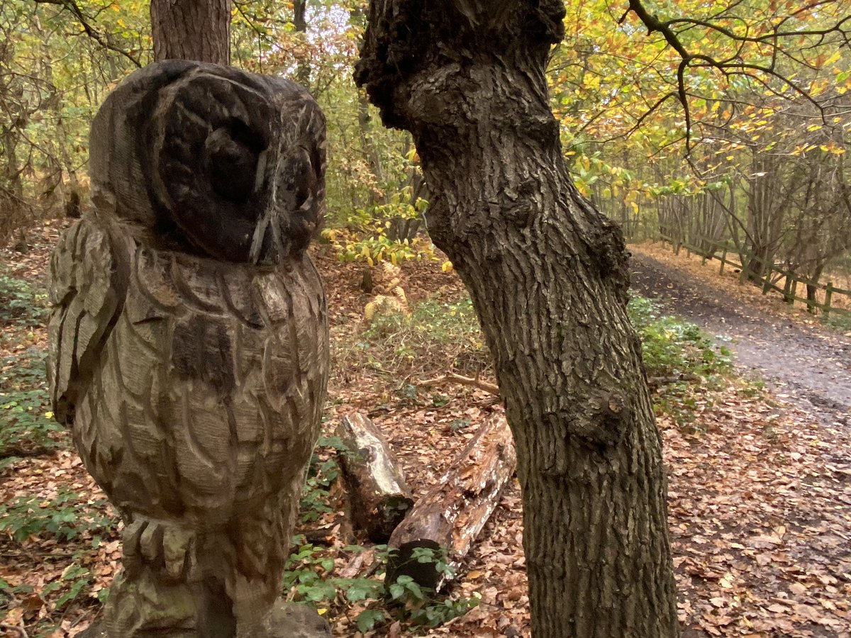 H is for  #HighWoodsCountryPark too. A wide range of accessible walks to explore & other activities too from an adventure playground to fishing facilities & the big community garden. The visitor centre is closed during  #Lockdown2.  #AtoZofLockdownColchester https://www.visitcolchester.com/things-to-do/high-woods-country-park-p1190771