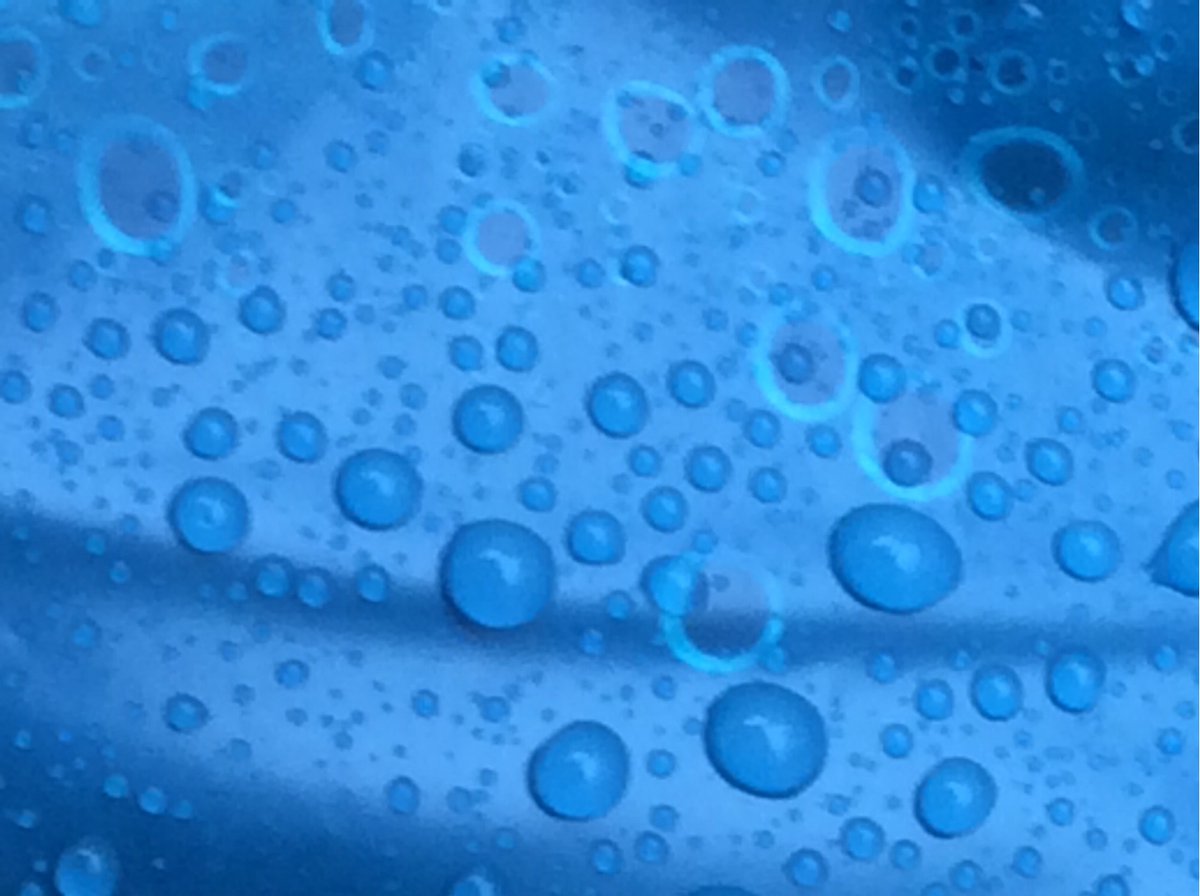 Outdoor Ed tweet media