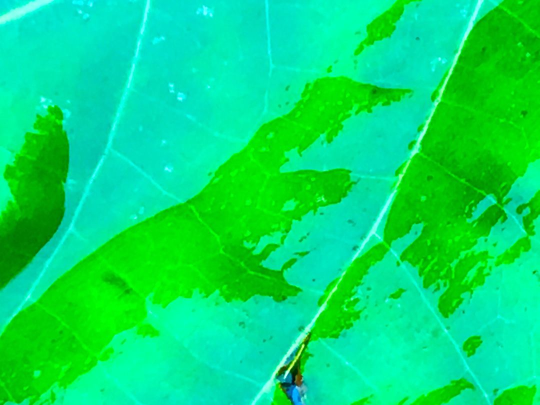 Outdoor Ed tweet media