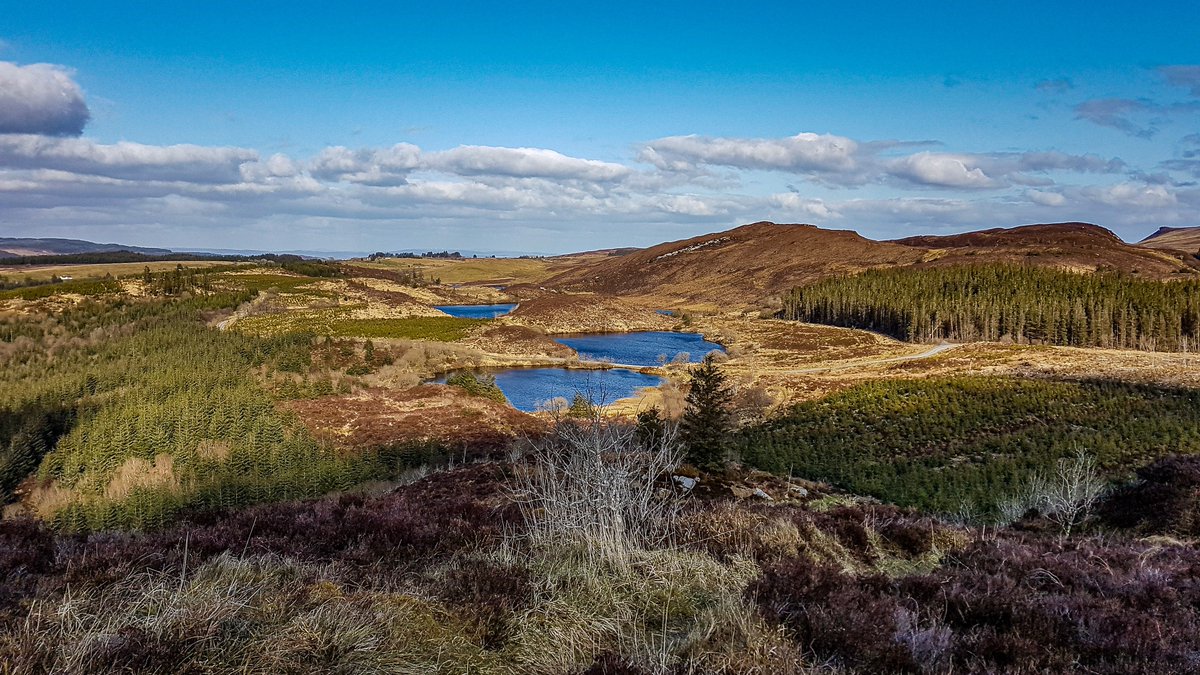 ForestServiceNI's tweet photo. We are happy to announce that we will once again be offering "FORESTRY STUDENT" WORK PLACEMENTS for up to one year from late Summer 2021. @ssf_ic @UoCNSF @BUForestry @BallyhaiseAgCol @waterfordit @ucd_forestry @BFSA_forestry #ilooklikeaforester #femaleforesters #forestrycareers https://t.co/xrNt8hCaAe