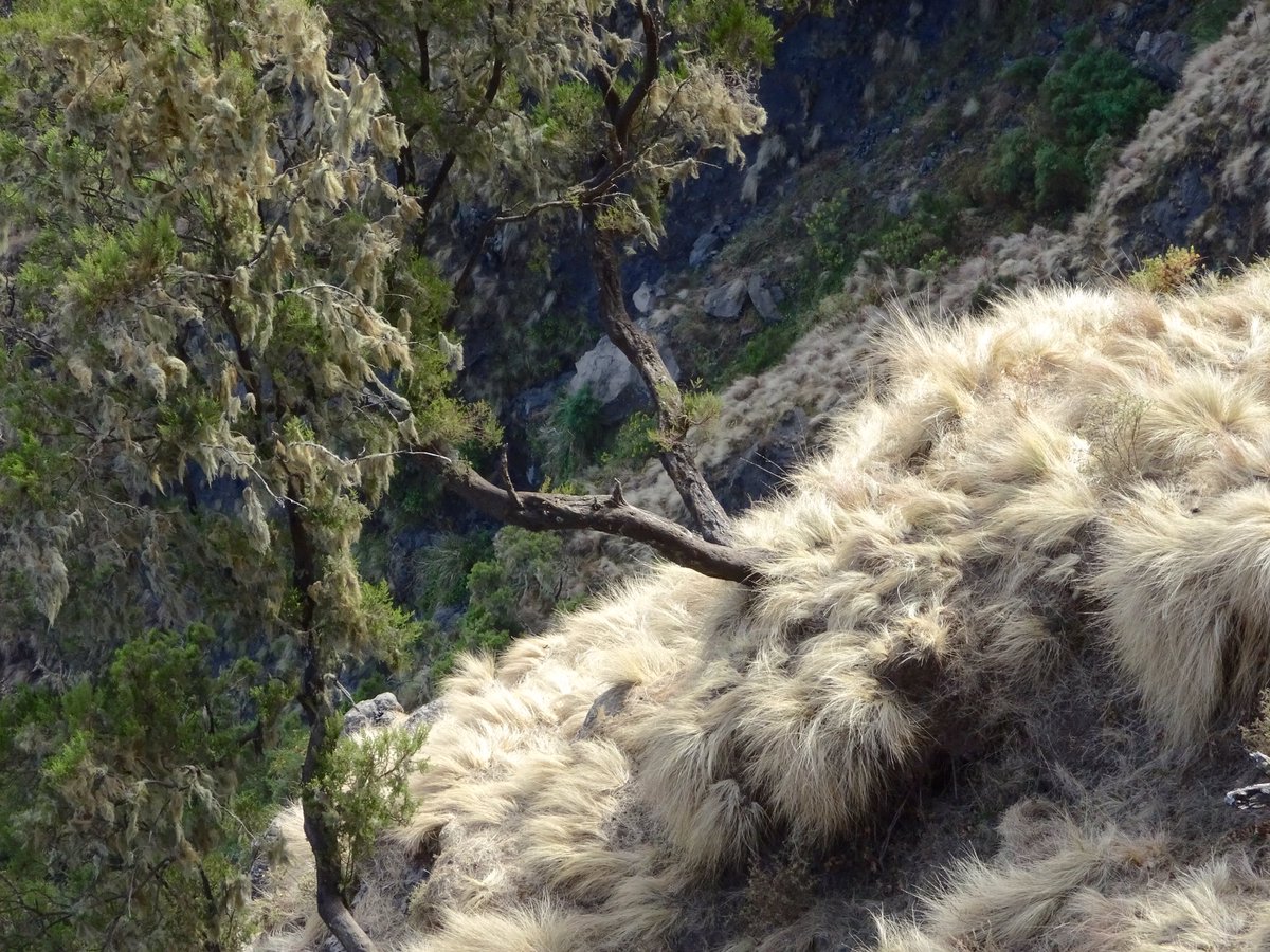 Tuija Sonkkila tweet media