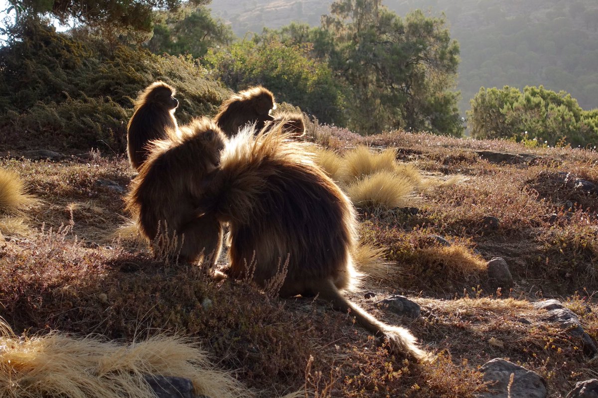 Tuija Sonkkila tweet media