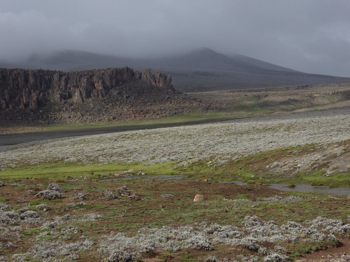 Tuija Sonkkila tweet media