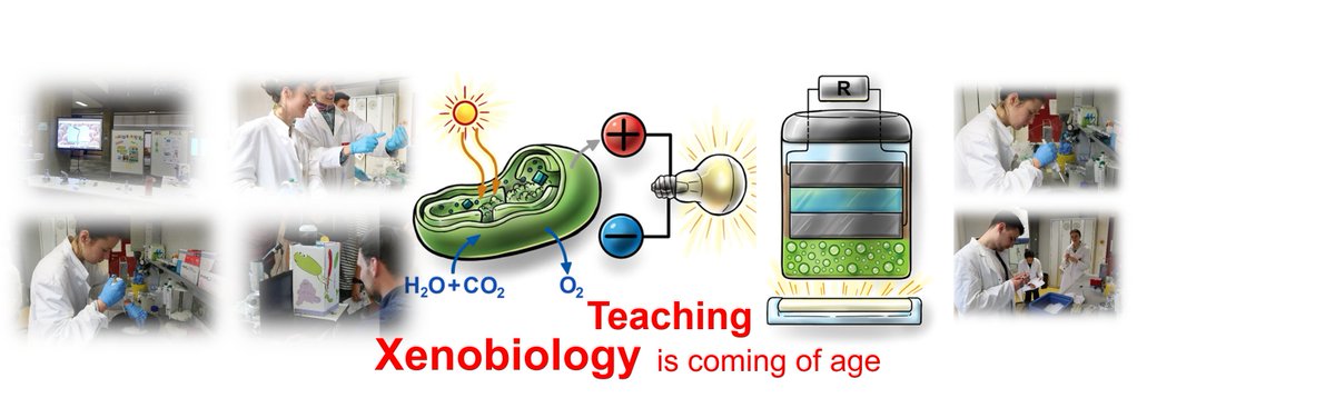 fjthephysiker's tweet photo. "Courses Based on iGEM/BIOMOD Competitions Are the Ideal Format for Research‐Based Learning of Xenobiology"
 - now open access -
 Thanks to @BudisaNed @iGEM_Berlin @frieli_deluxe @TransitionTom @TUBerlin @UniHalle 

https://t.co/if9oAFq2rQ https://t.co/YcEztd7bBR
