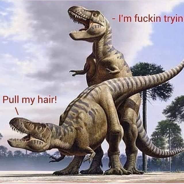 meme of the moment: https://t.co/tvTzW5GTD8<a href="/tag/movie"class="tags"><span>#movie</span></a><a href="/tag/kinky"class="tags"><span>#kinky</span></a><a href="/tag/parody"class="tags"><span>#parody</span></a><a href="/tag/pygmalion"class="tags"><span>#pygmalion</span></a>