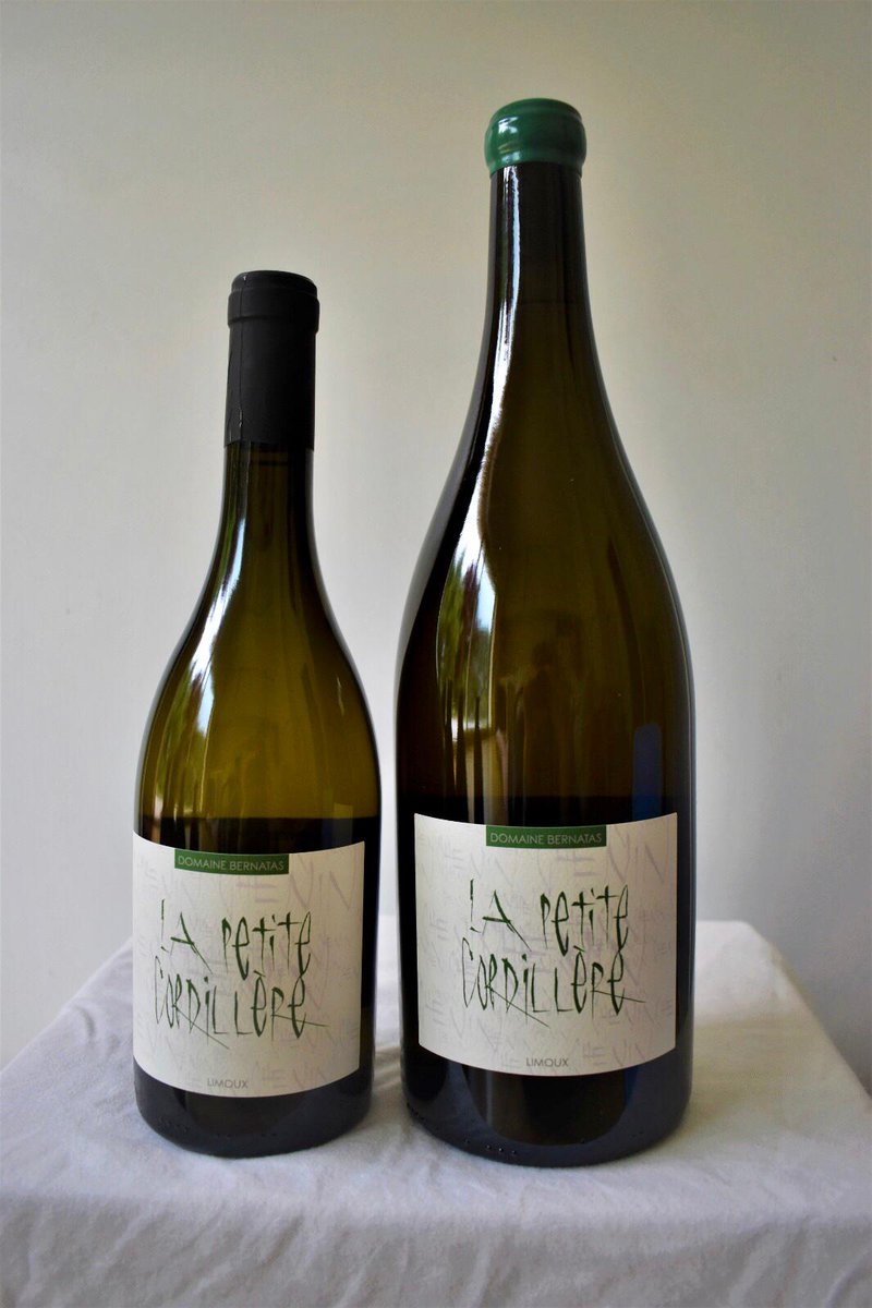 jbernatas's tweet photo. Voyons grand pour les fêtes ! Si vous ne trouvez pas nos vins chez votre caviste, nous pouvons vous expédier notre magnum de la Petite Cordillère #domainebernatas #chenin #limoux #vin #winelovers #vinsnaturels #vinsvivants #biodynamie #vinsdevignerons #ideecadeau https://t.co/GokXpUPKwj