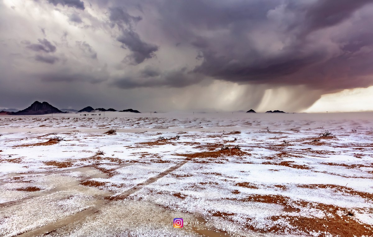 ابو ياسر tweet media