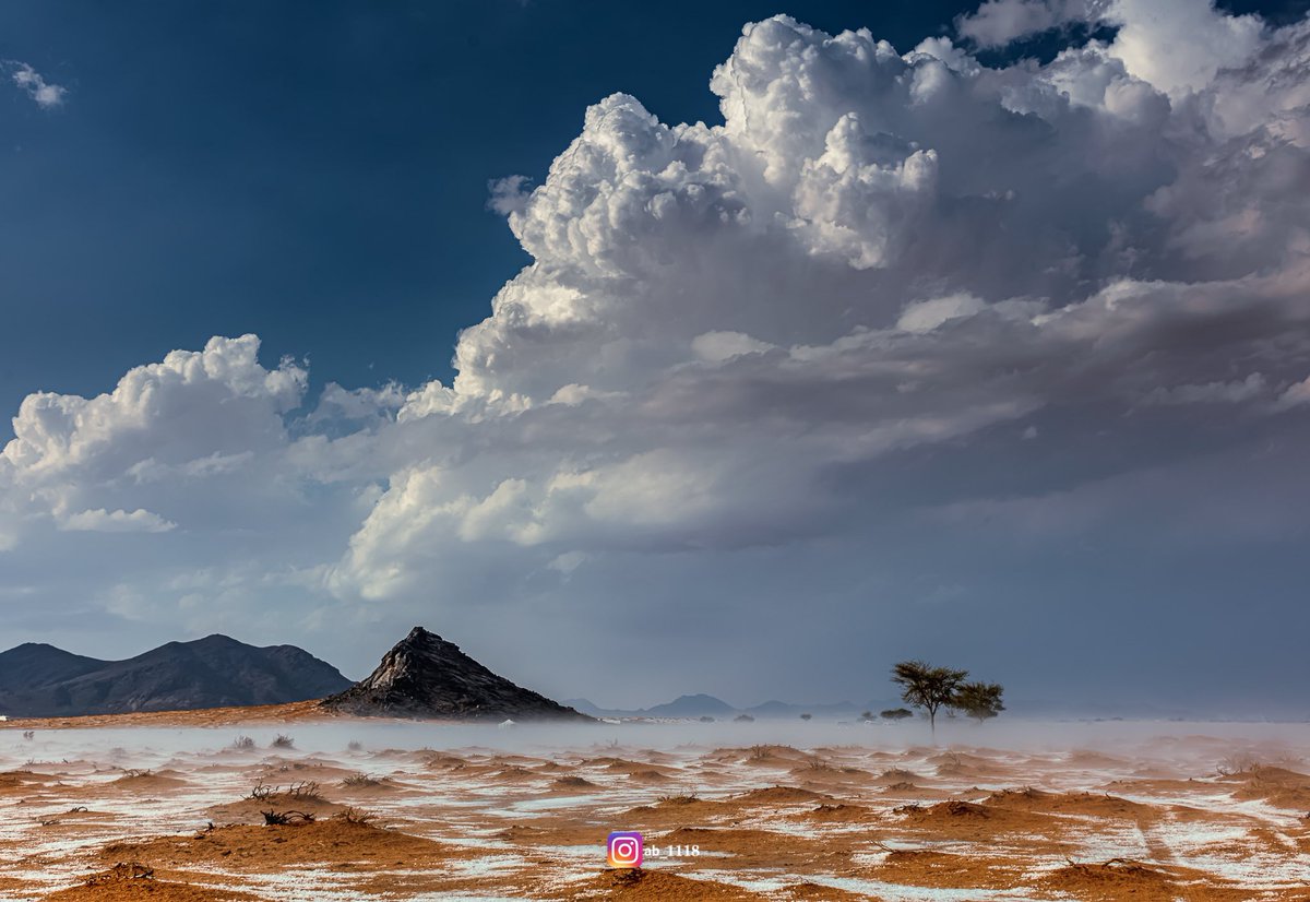 ابو ياسر tweet media