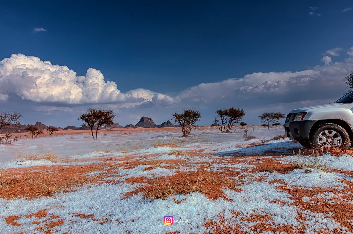 ابو ياسر tweet media