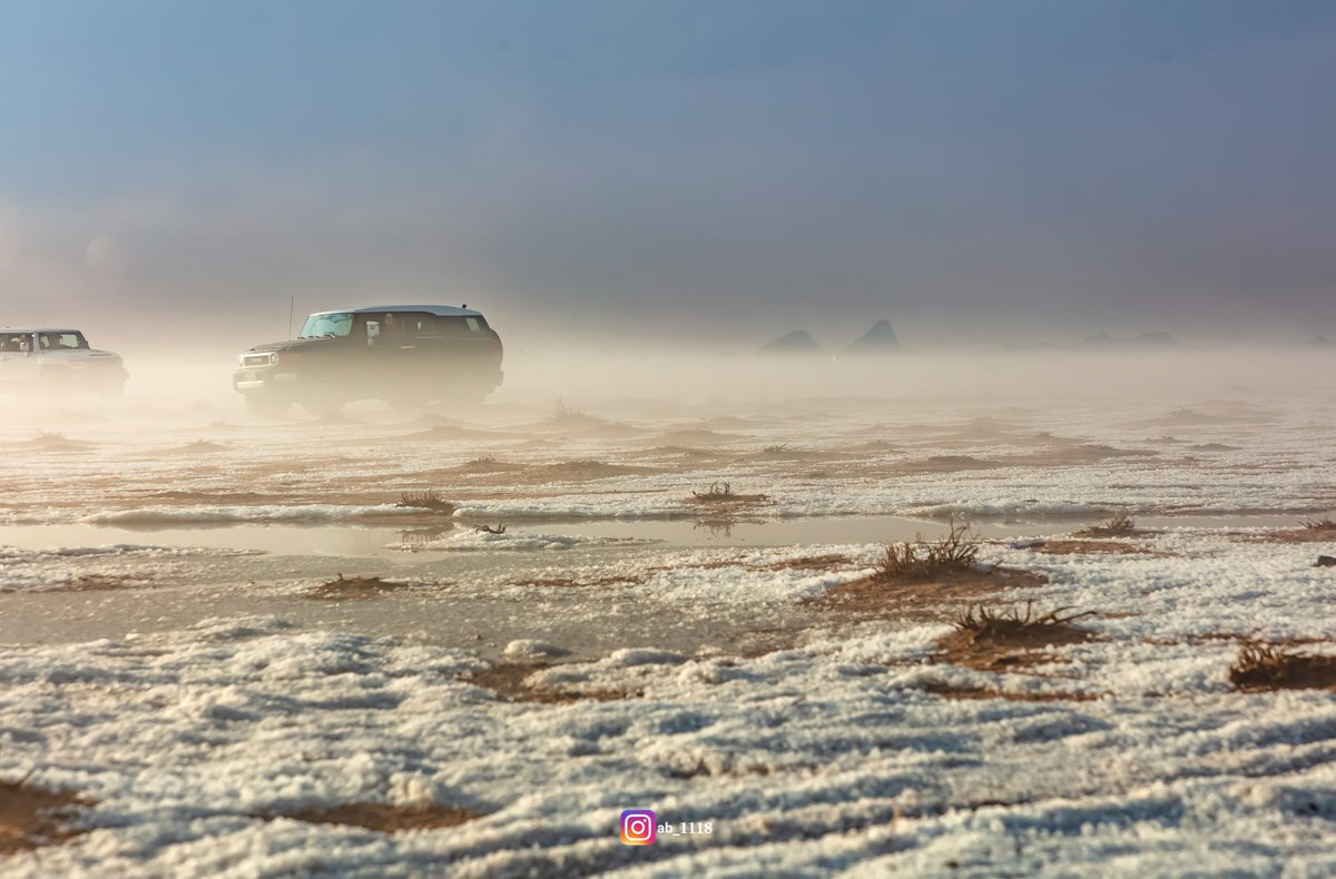 ابو ياسر tweet media